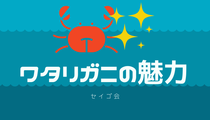 曽根干潟 ワタリガニ の魅力 渡り蟹 カニ漁師 セイゴ会