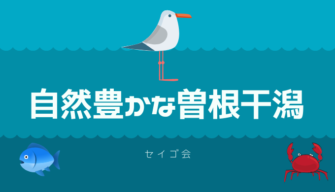 自然豊かな 曽根干潟 渡り蟹 カニ漁師 セイゴ会